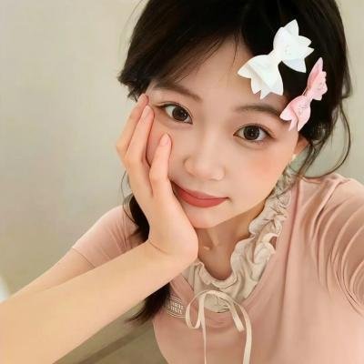 两面间谍 封面