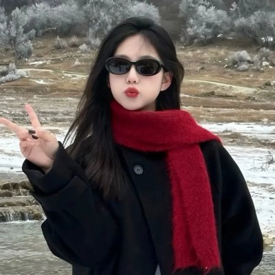 四大名捕重出江湖 封面